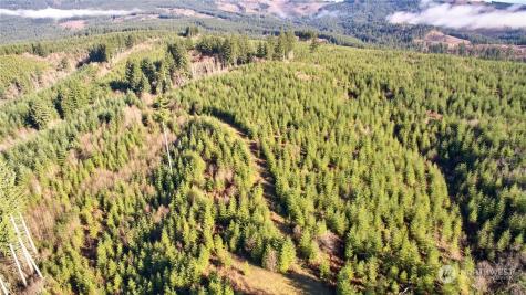 3 NE Jones Creek Road Camas WA 98601