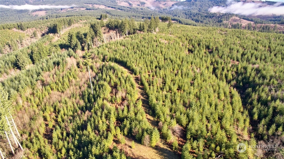 3 NE Jones Creek Road Camas WA 98601