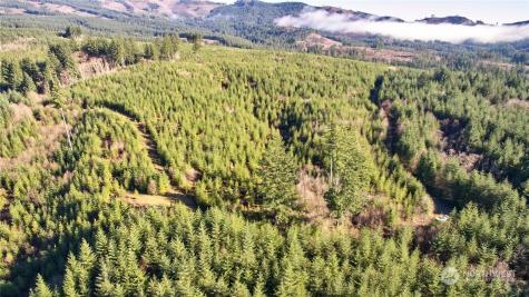 3 NE Jones Creek Road Camas WA 98601