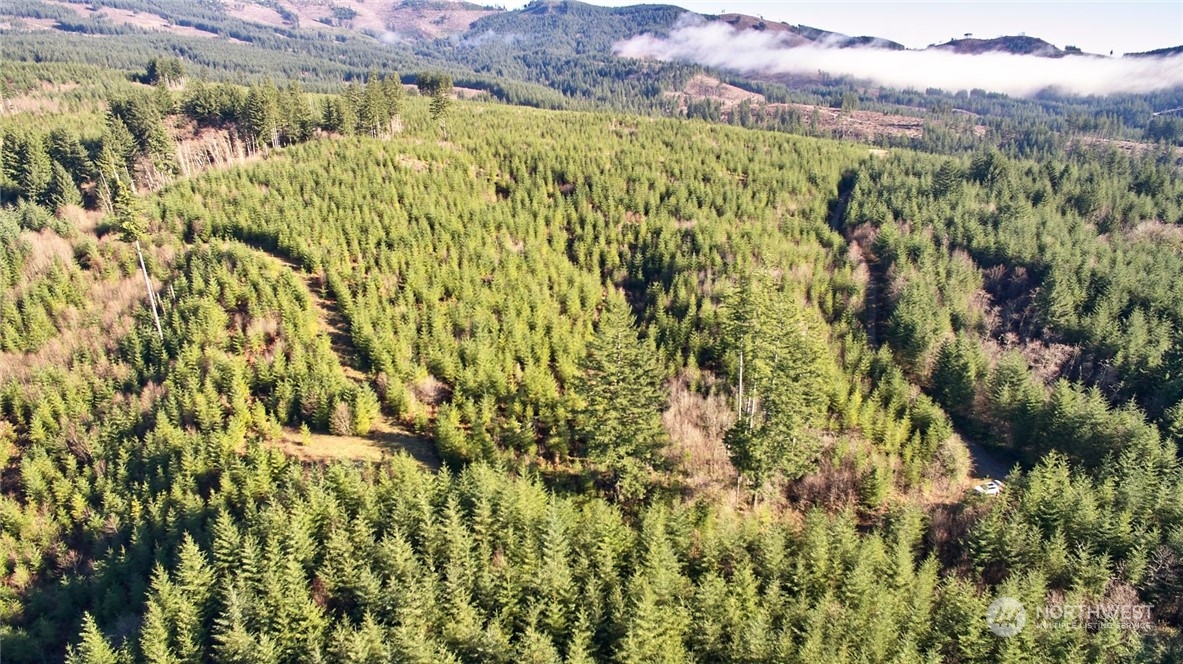 3 NE Jones Creek Road Camas WA 98601