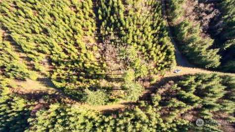 3 NE Jones Creek Road Camas WA 98601