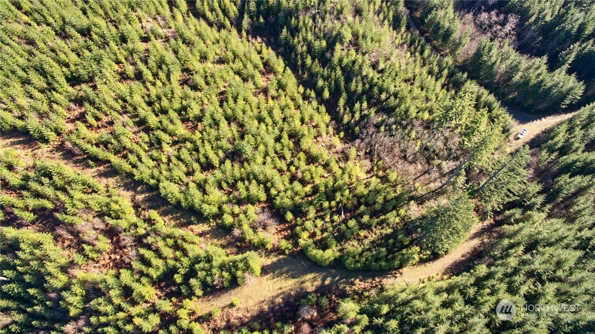 3 NE Jones Creek Road Camas WA 98601