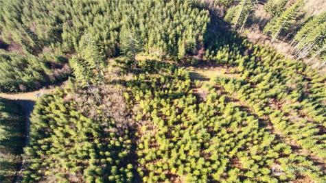 3 NE Jones Creek Road Camas WA 98601