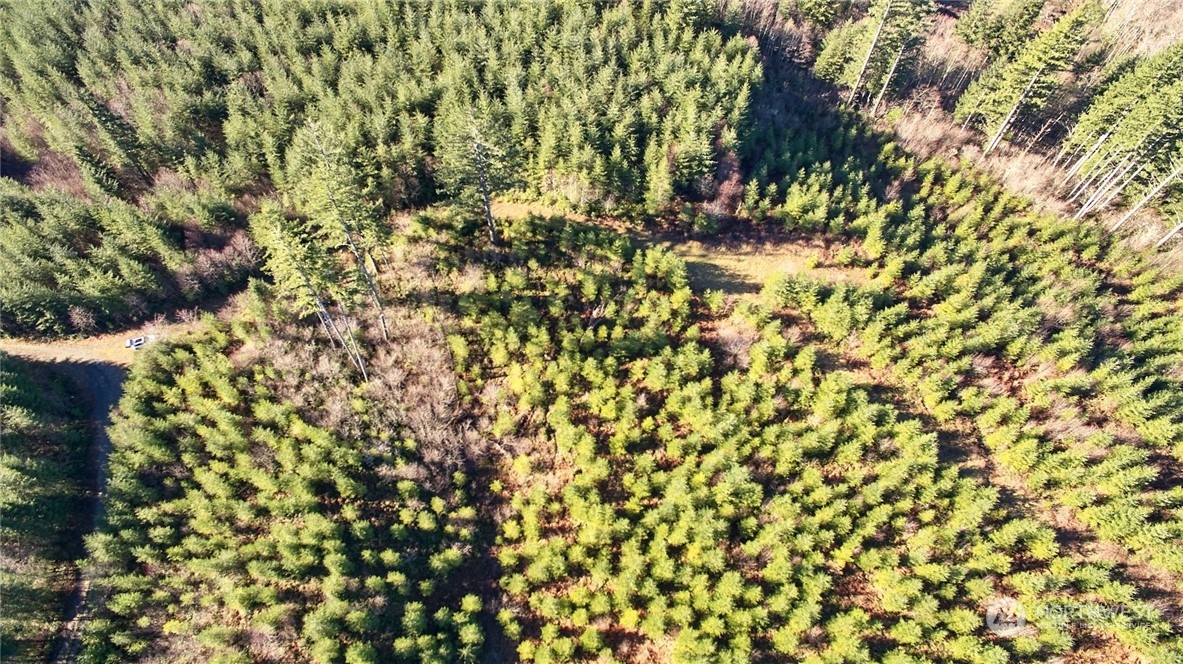 3 NE Jones Creek Road Camas WA 98601
