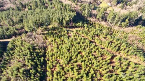 3 NE Jones Creek Road Camas WA 98601