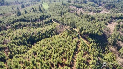 3 NE Jones Creek Road Camas WA 98601