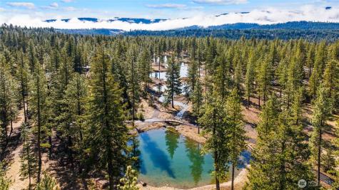 87 Wanawish Loop Cle Elum WA 98922