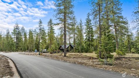 87 Wanawish Loop Cle Elum WA 98922