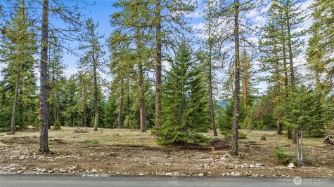 87 Wanawish Loop Cle Elum WA 98922
