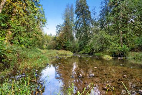 0 NE Cedar Creek Road Woodland WA 98674