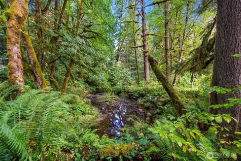 0 NE Cedar Creek Road Woodland WA 98674