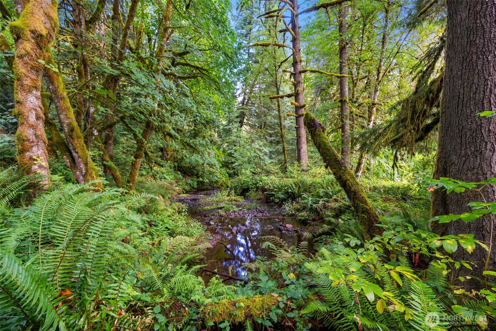 0 NE Cedar Creek Road Woodland WA 98674