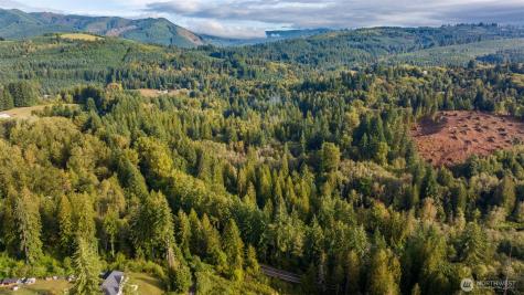 0 NE Cedar Creek Road Woodland WA 98674