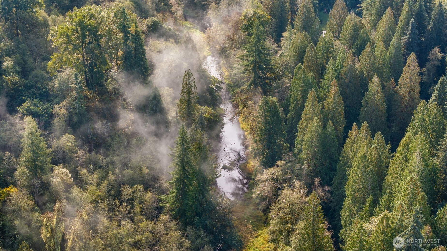 0 NE Cedar Creek Road Woodland WA 98674