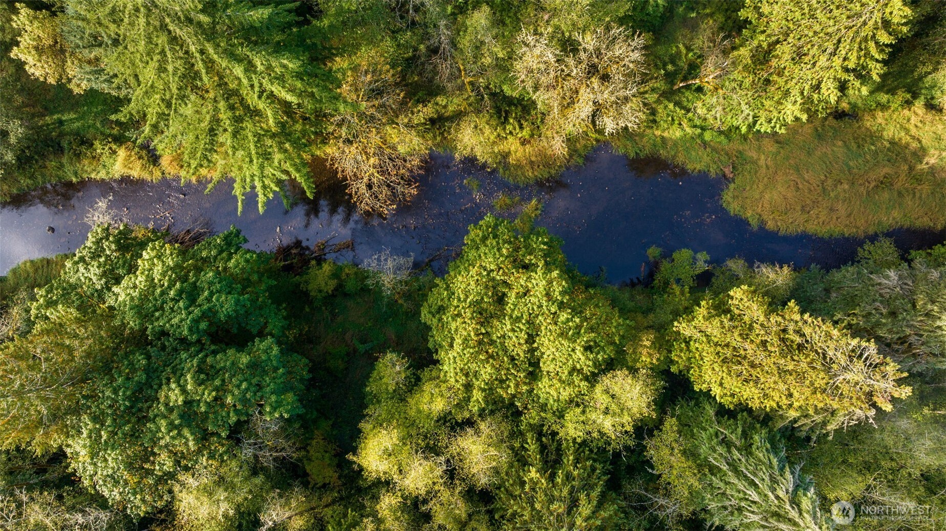 0 NE Cedar Creek Road Woodland WA 98674