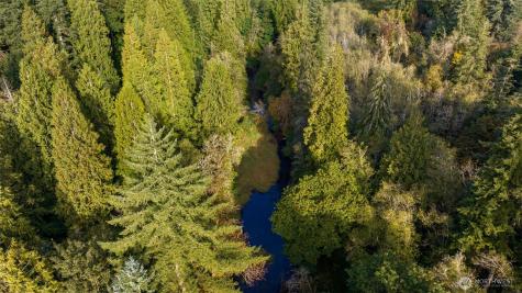 0 NE Cedar Creek Road Woodland WA 98674