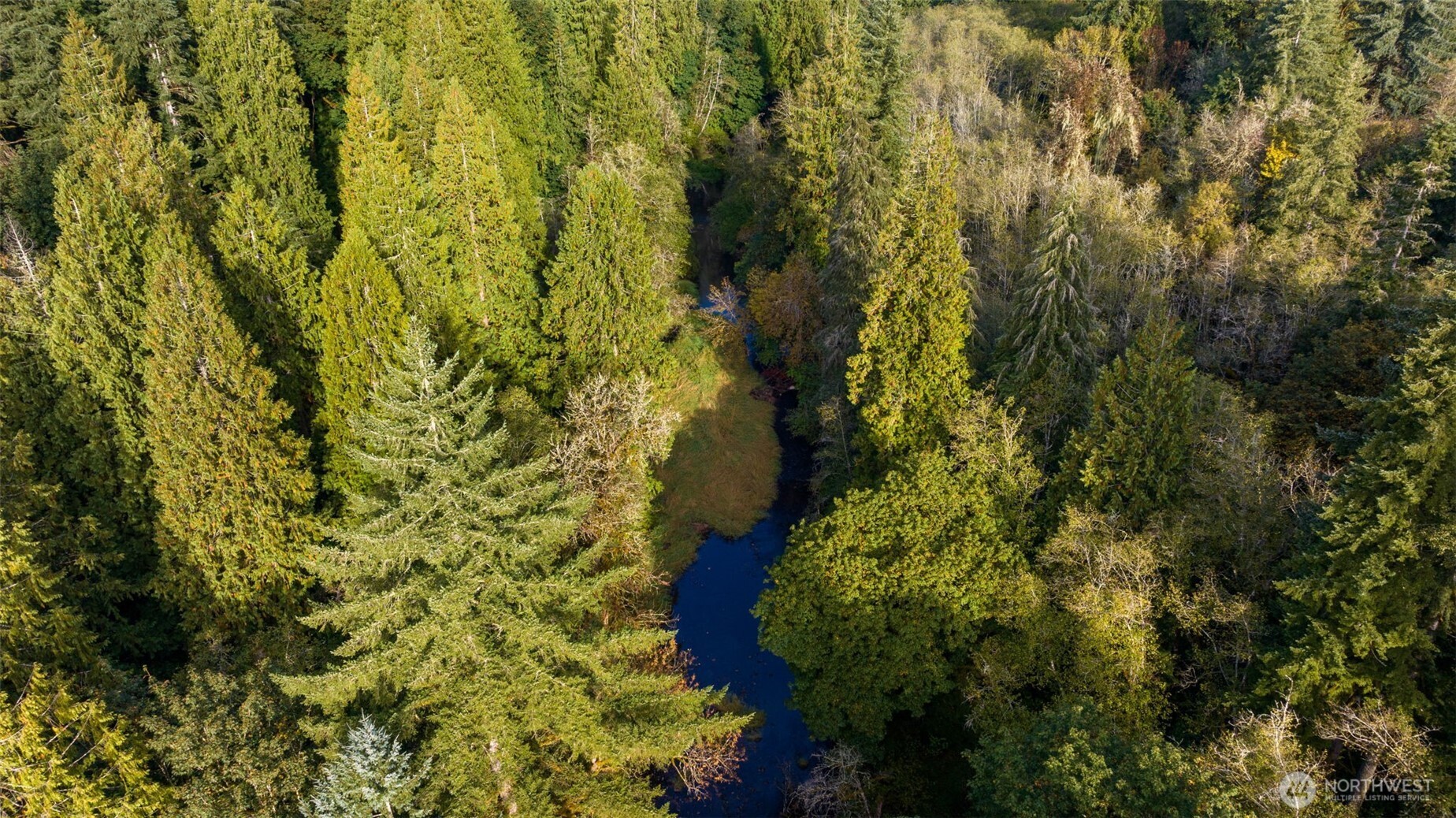 0 NE Cedar Creek Road Woodland WA 98674