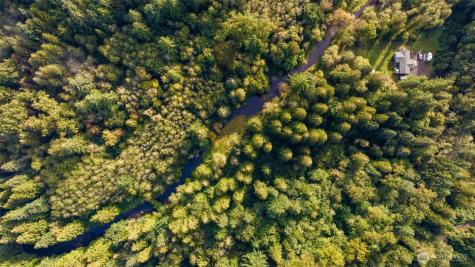0 NE Cedar Creek Road Woodland WA 98674