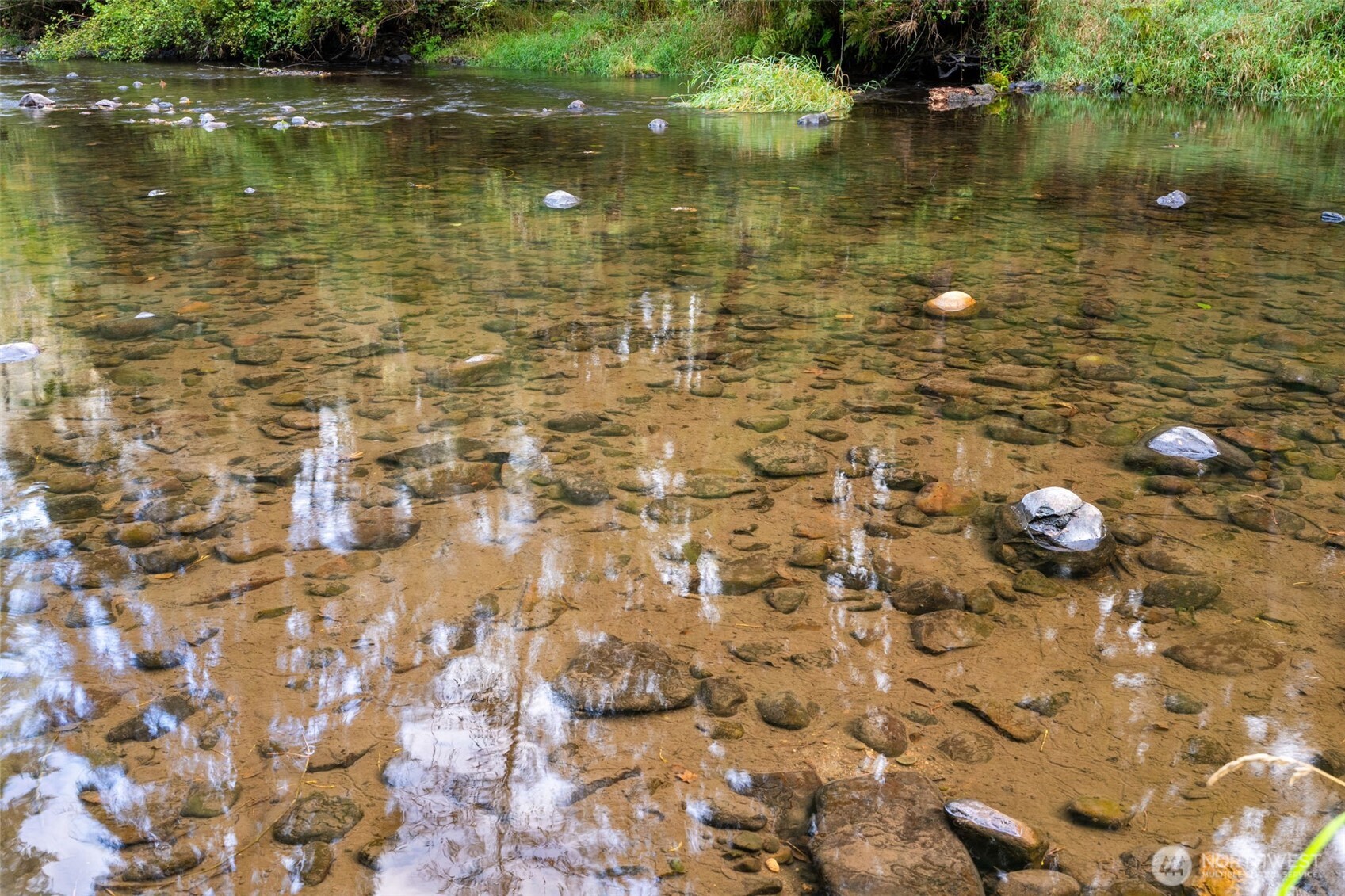 0 NE Cedar Creek Road Woodland WA 98674