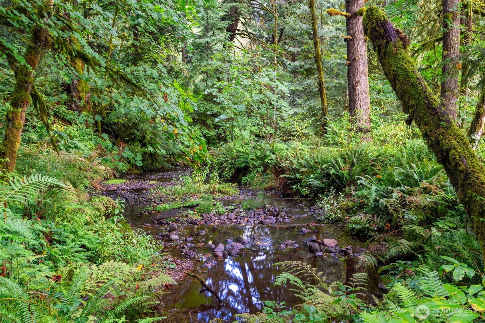 0 NE Cedar Creek Road Woodland WA 98674