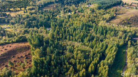 0 NE Cedar Creek Road Woodland WA 98674