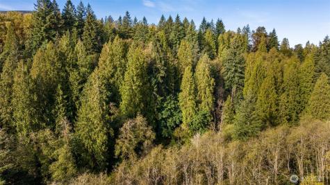 0 NE Cedar Creek Road Woodland WA 98674