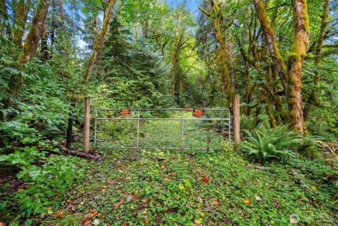 0 NE Cedar Creek Road Woodland WA 98674