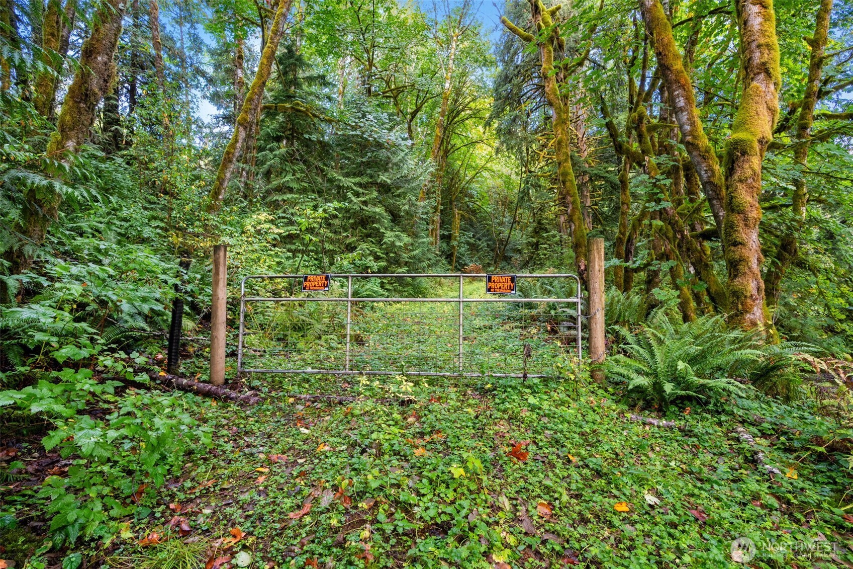 0 NE Cedar Creek Road Woodland WA 98674