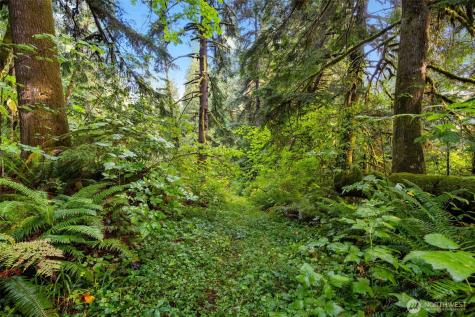0 NE Cedar Creek Road Woodland WA 98674