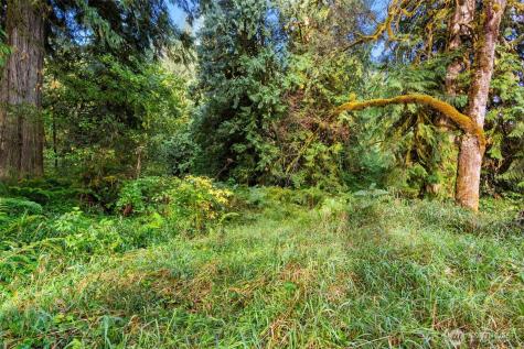 0 NE Cedar Creek Road Woodland WA 98674
