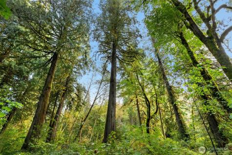 0 NE Cedar Creek Road Woodland WA 98674