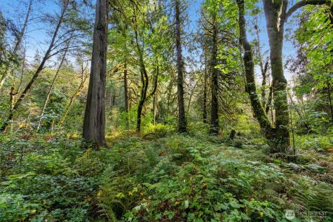 0 NE Cedar Creek Road Woodland WA 98674