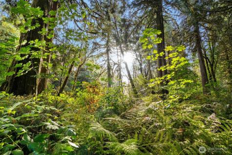 0 NE Cedar Creek Road Woodland WA 98674