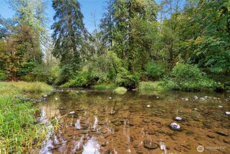 0 NE Cedar Creek Road Woodland WA 98674