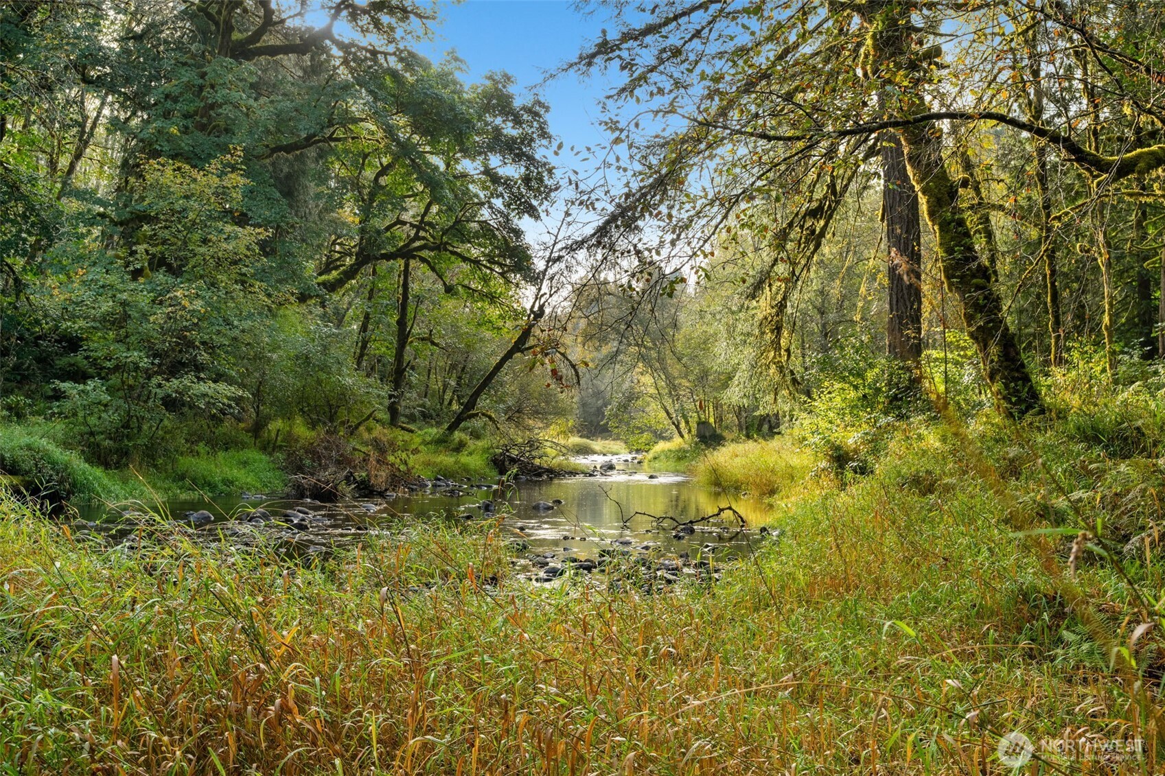 0 NE Cedar Creek Road Woodland WA 98674