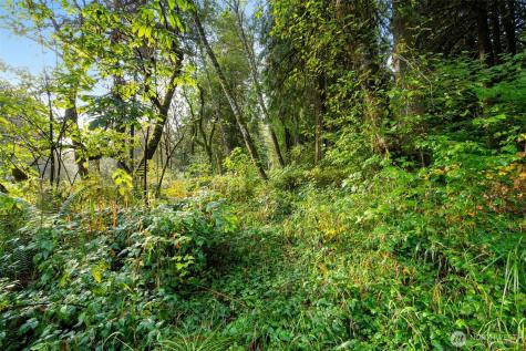 0 NE Cedar Creek Road Woodland WA 98674
