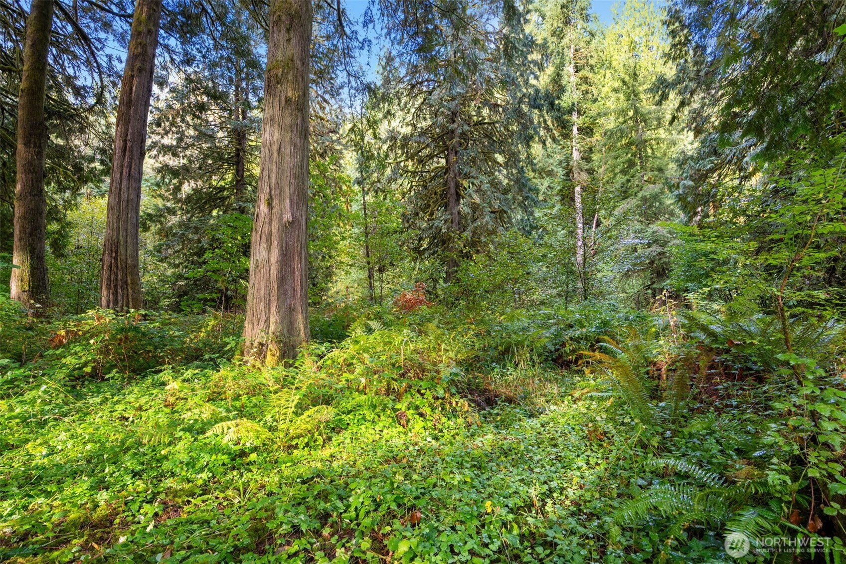 0 NE Cedar Creek Road Woodland WA 98674