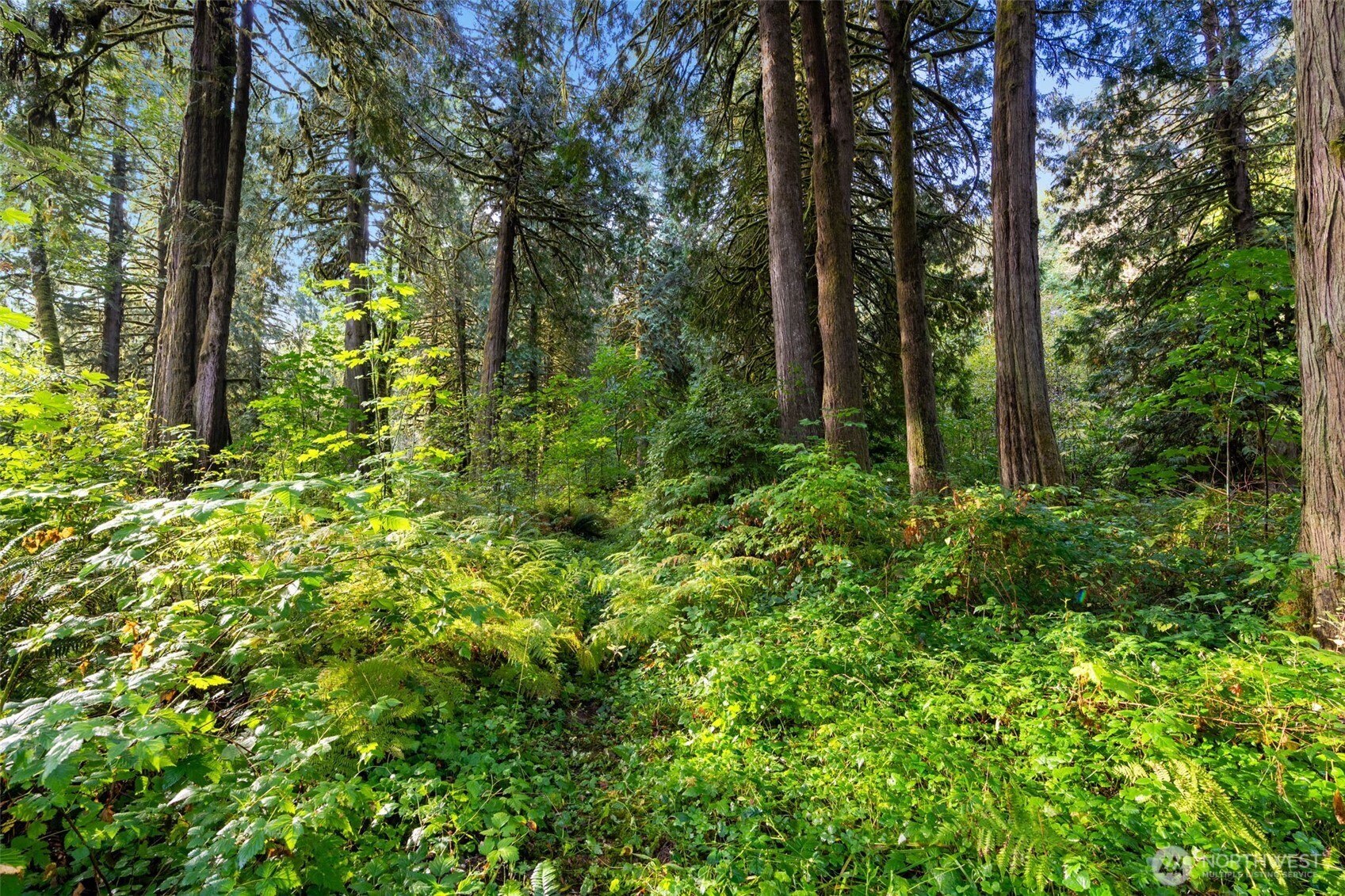 0 NE Cedar Creek Road Woodland WA 98674