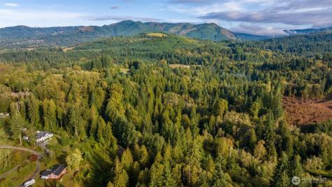 0 NE Cedar Creek Road Woodland WA 98674