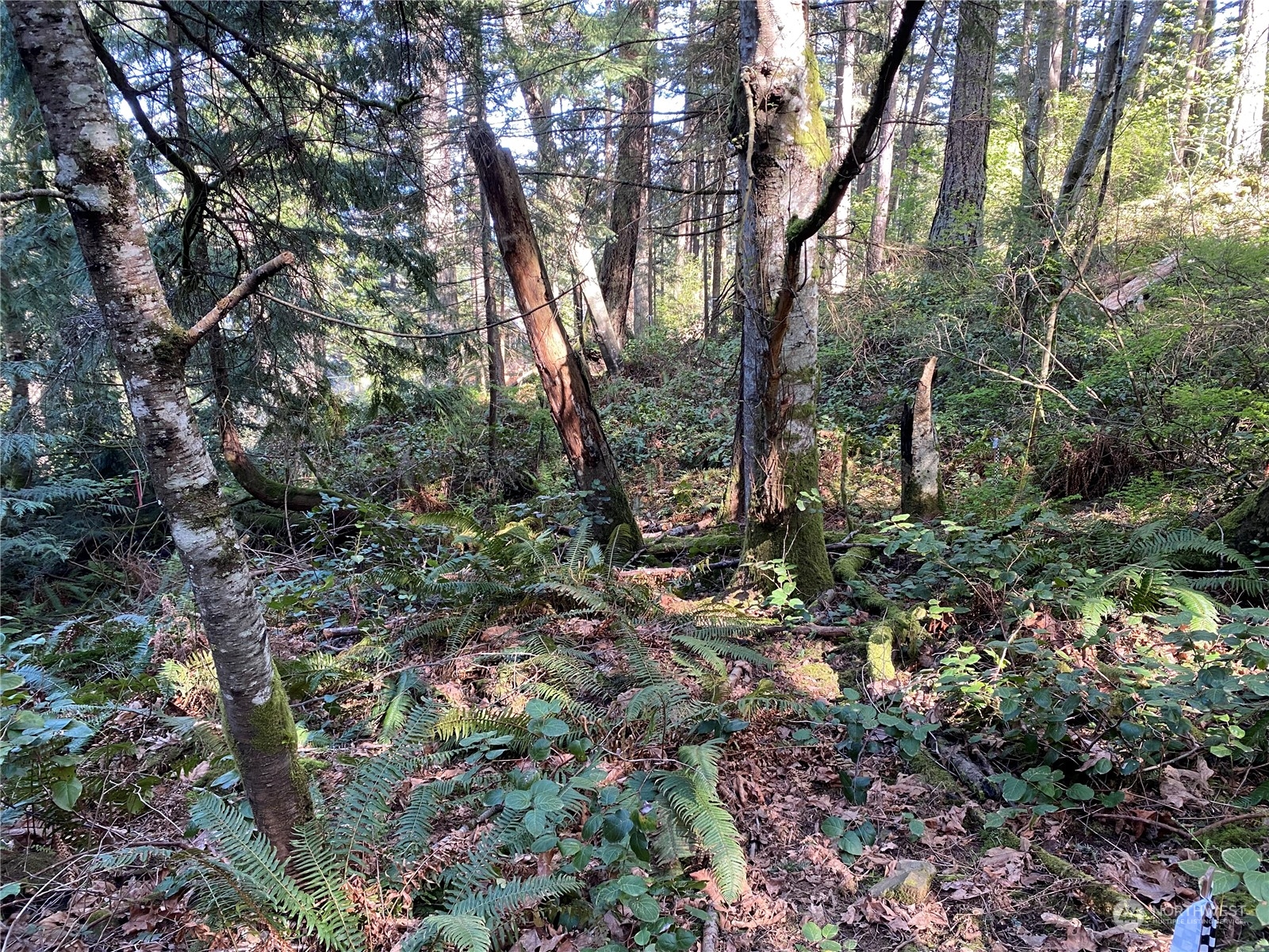 2861 Aiston Creek Road Lummi Island WA 98262