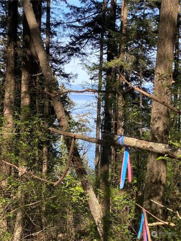 2861 Aiston Creek Road Lummi Island WA 98262