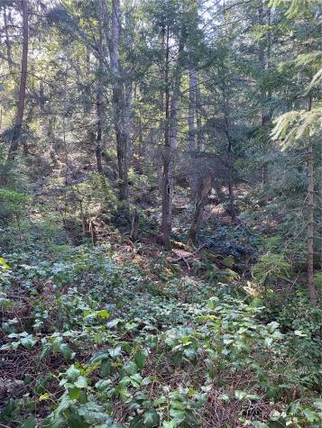 2861 Aiston Creek Road Lummi Island WA 98262