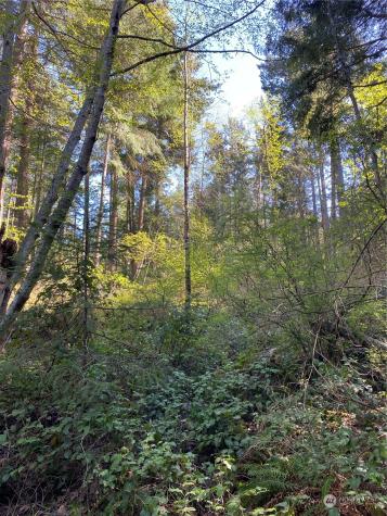 2861 Aiston Creek Road Lummi Island WA 98262