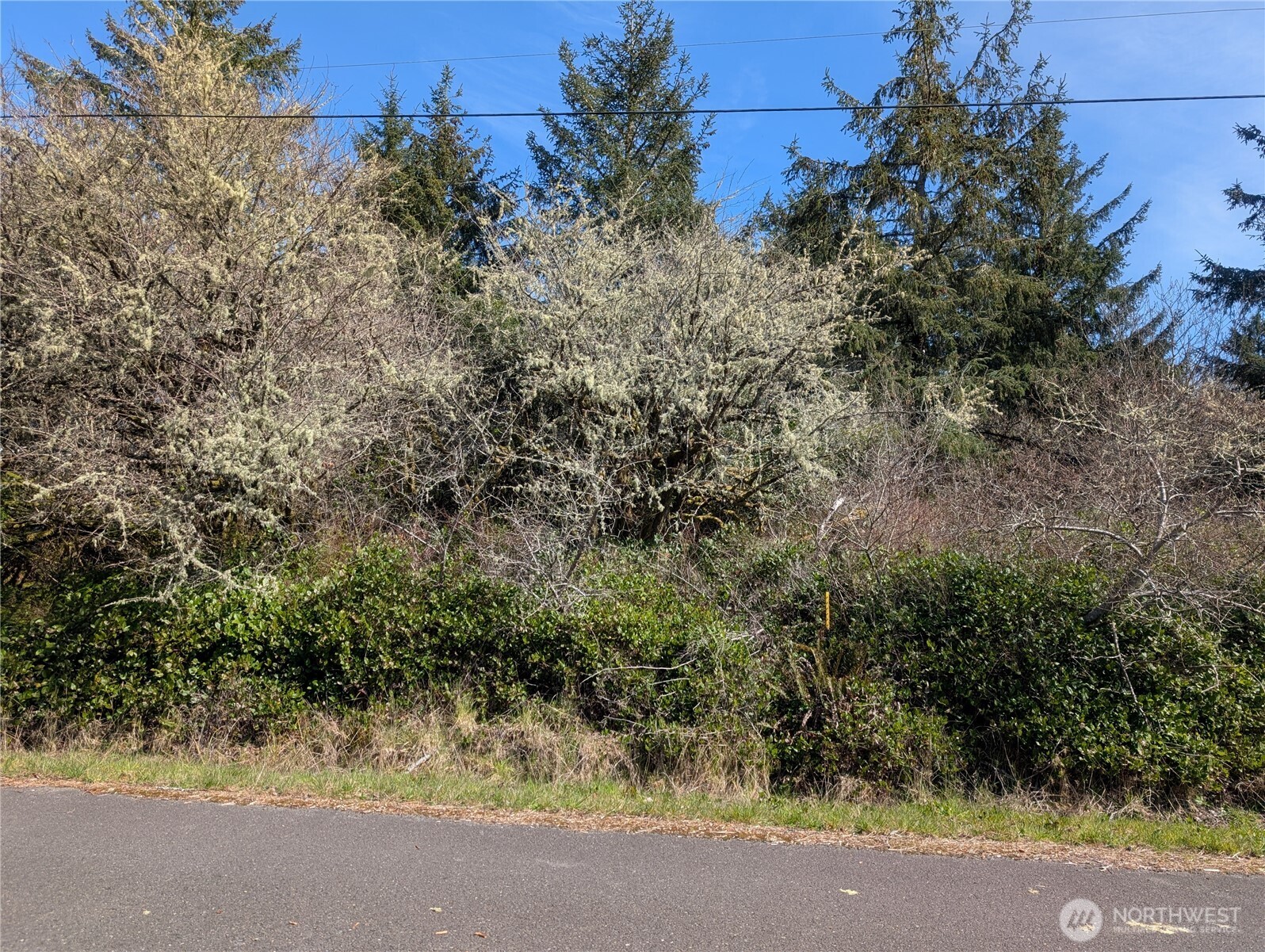 133 Cloquallum Street SE Ocean Shores WA 98569