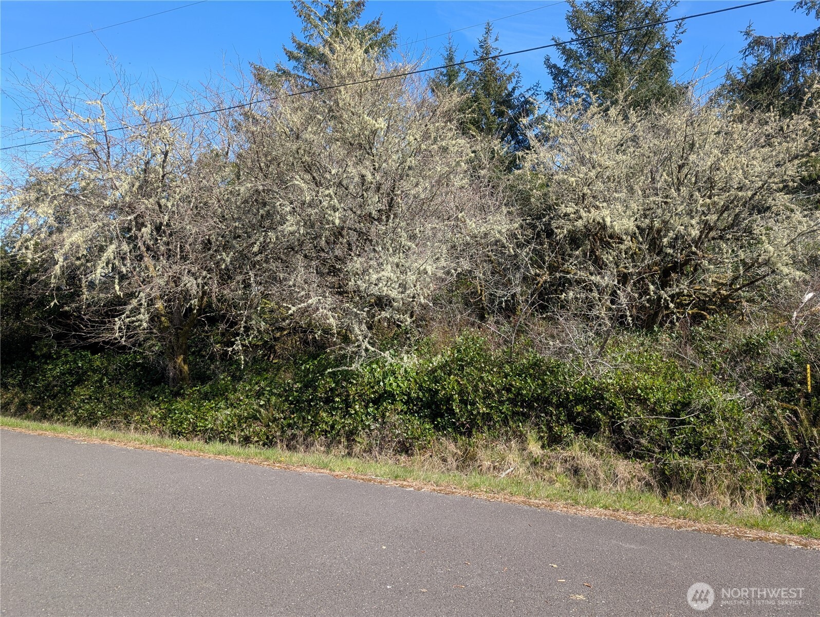 133 Cloquallum Street SE Ocean Shores WA 98569
