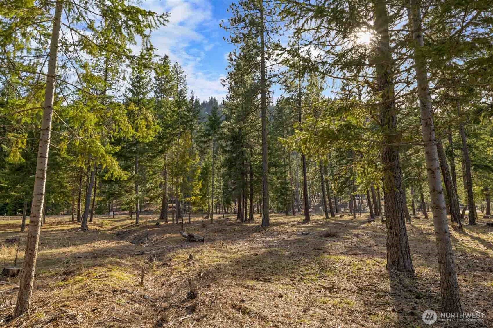 30 Domerie Park Loop Cle Elum WA 98922