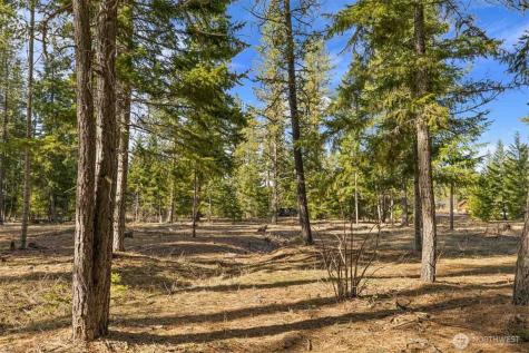 30 Domerie Park Loop Cle Elum WA 98922