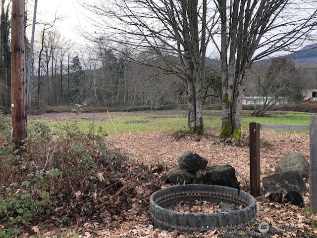 306558 Highway 101 Brinnon WA 98320