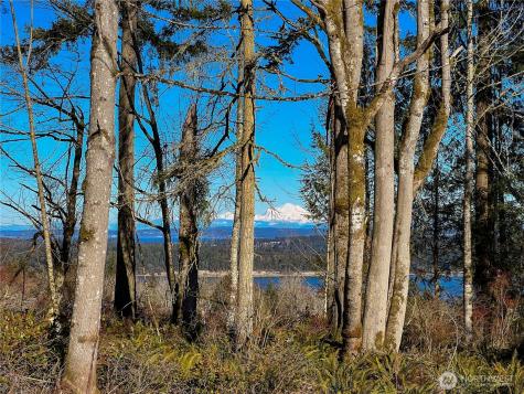 2998 Oak Bay Road Port Hadlock WA 98339