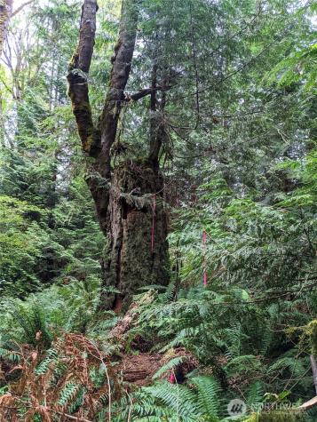 2998 Oak Bay Road Port Hadlock WA 98339